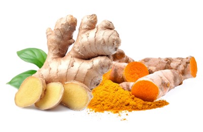 curcuma digestion