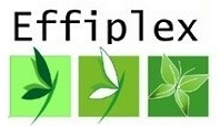 Logo Effiplex