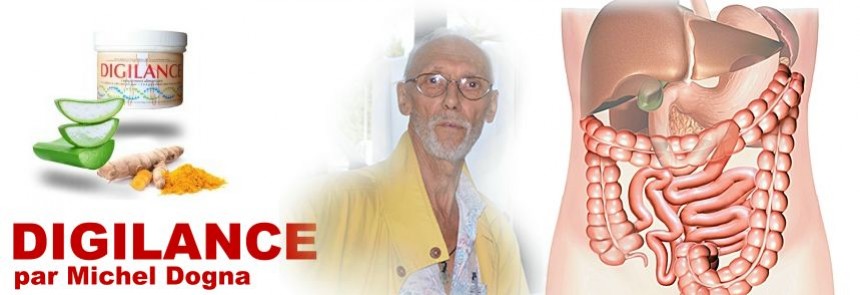 Michel Dogna parle de DIGILANCE