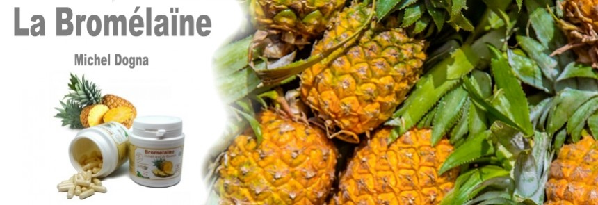 Brom&eacute;la&iuml;ne par Michel DOGNA