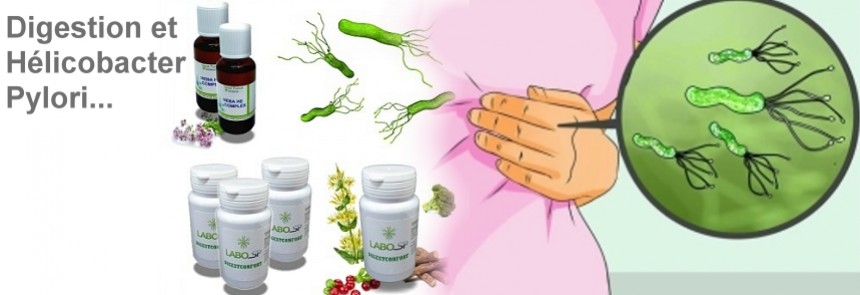 Digestion et Helicobacter pylori