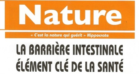 La barri&egrave;re intestinale, l'intestin poreux, digilance, info nature