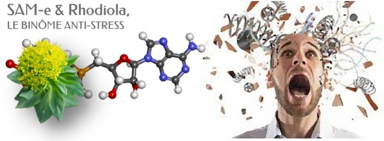 SAM-e et Rodhiola