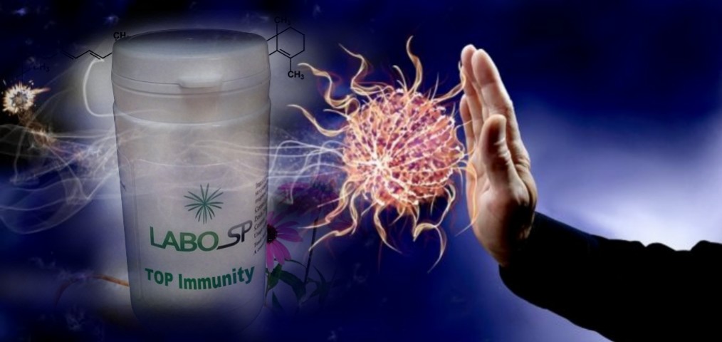 D&eacute;fenses immunitaires