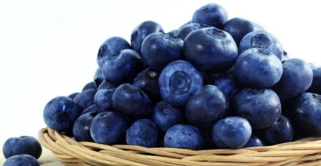 La Myrtille et la vision