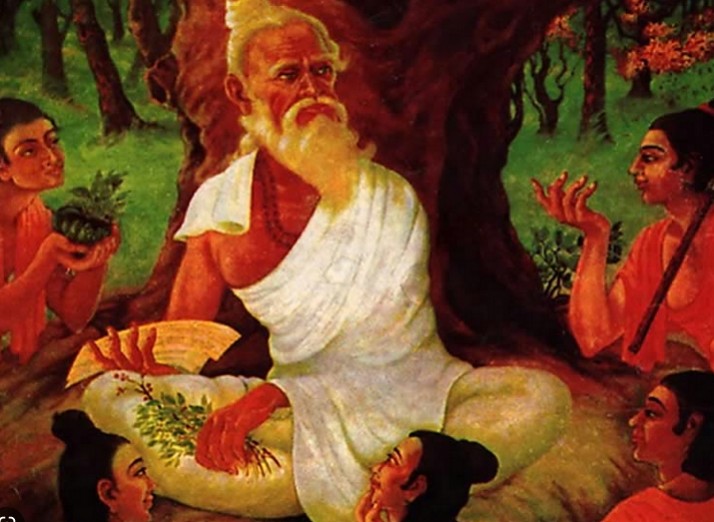 Le praticien ayurv&eacute;dique