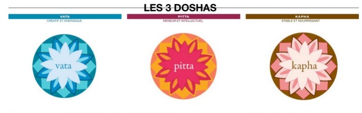 Les 3 Doshas, mahabhutas, Srotas et dhatus 