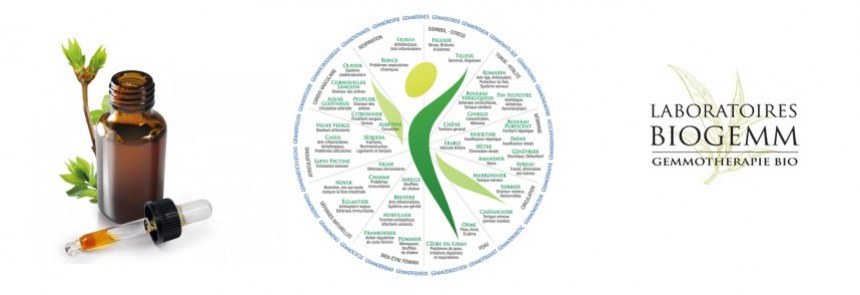biogemm et la gemmoth&eacute;rapie