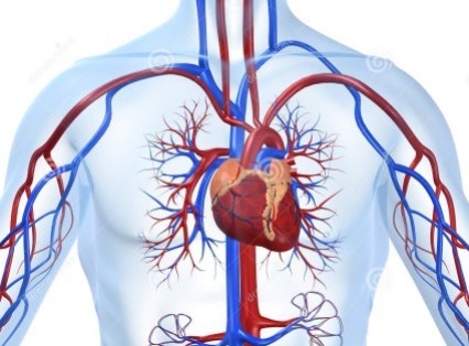 Mode d'emploi de tensioreg 100 ou 200