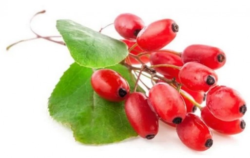 Berb&eacute;rine, stress et diarrh&eacute;es par le docteur schmitz 