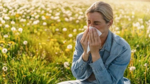 Allergies et solutions