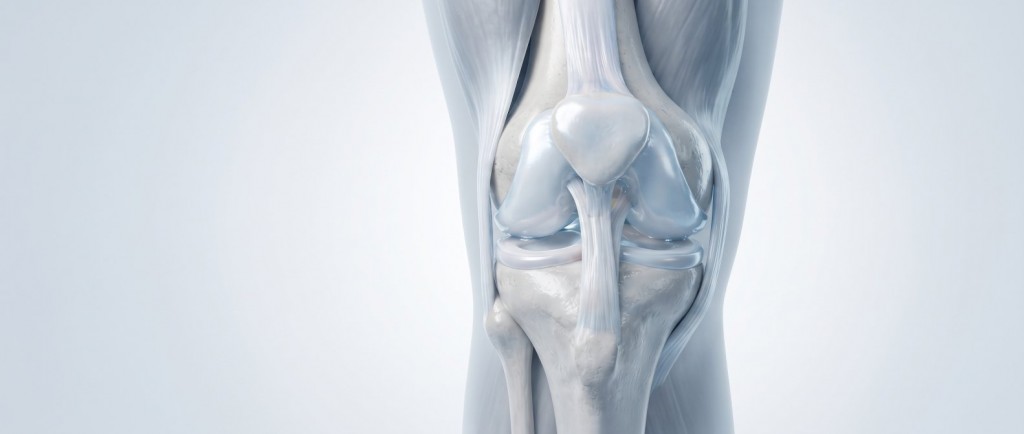 Arthrose : comprendre pourquoi le cartilage s'use (et comment ralentir son &eacute;volution)