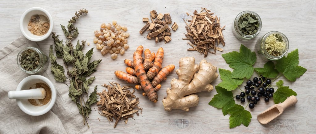 Les meilleures plantes pour soulager naturellement les douleurs de l'arthrose