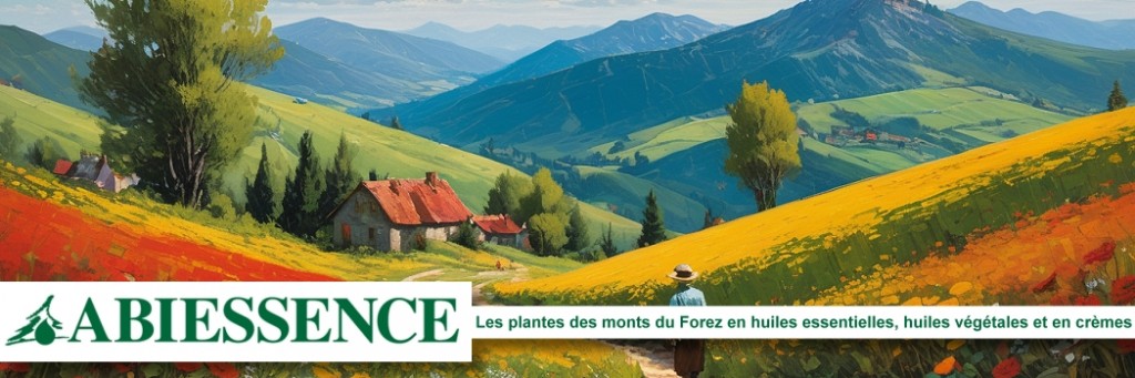Abiessence : la distillerie du Forez