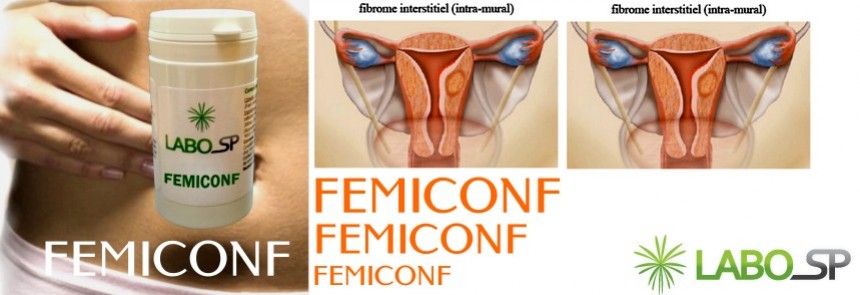 FEMICONF, les fibromes