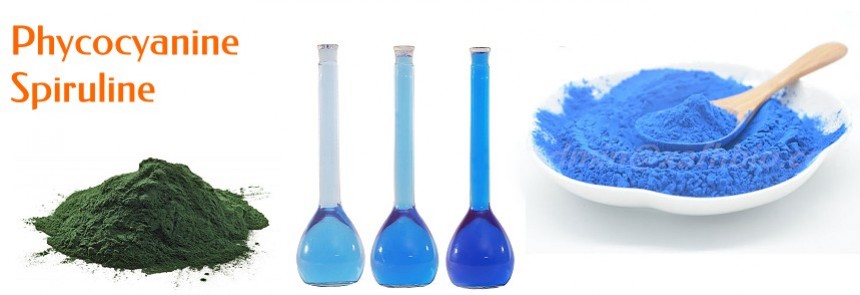 La phycocyanine spiruline