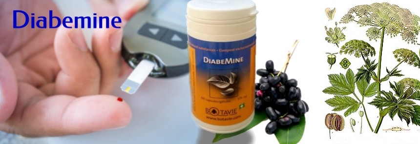 Diab&egrave;te Diabemine