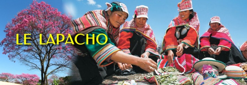 &Eacute;corce de lapacho