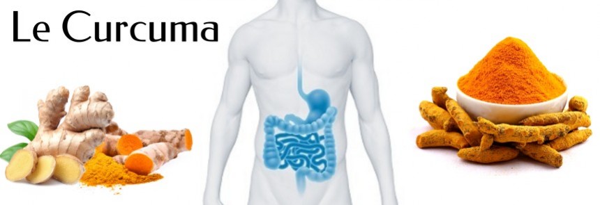 Le Curcuma