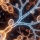 Candida albicans : quand la le