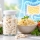 Probiotiques : souches, origin