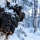 Le Chaga : le champignon du bo