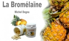 Bromélaïne par Michel DOGNA