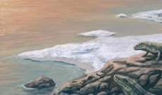 Huile de Magn&eacute;sium Transcutan&eacute;e : Le Secret de la Mer de Zechstein