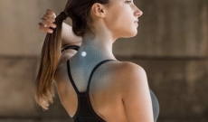 La Synergie X39 & X49 : R&eacute;volutionner la R&eacute;g&eacute;n&eacute;ration des Cellules Souches