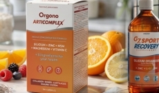 Lo&iuml;c Le Ribault : L'&Eacute;pop&eacute;e du Silicium Organique.