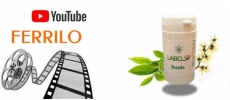 Ferrilo vidéo