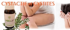 Cystactif et Cystites 