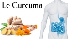 Le Curcuma